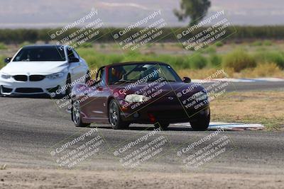 media/Oct-04-2025-OnGrid (Sat) [[44bd565ffa]]/Green Group/Sunrise/